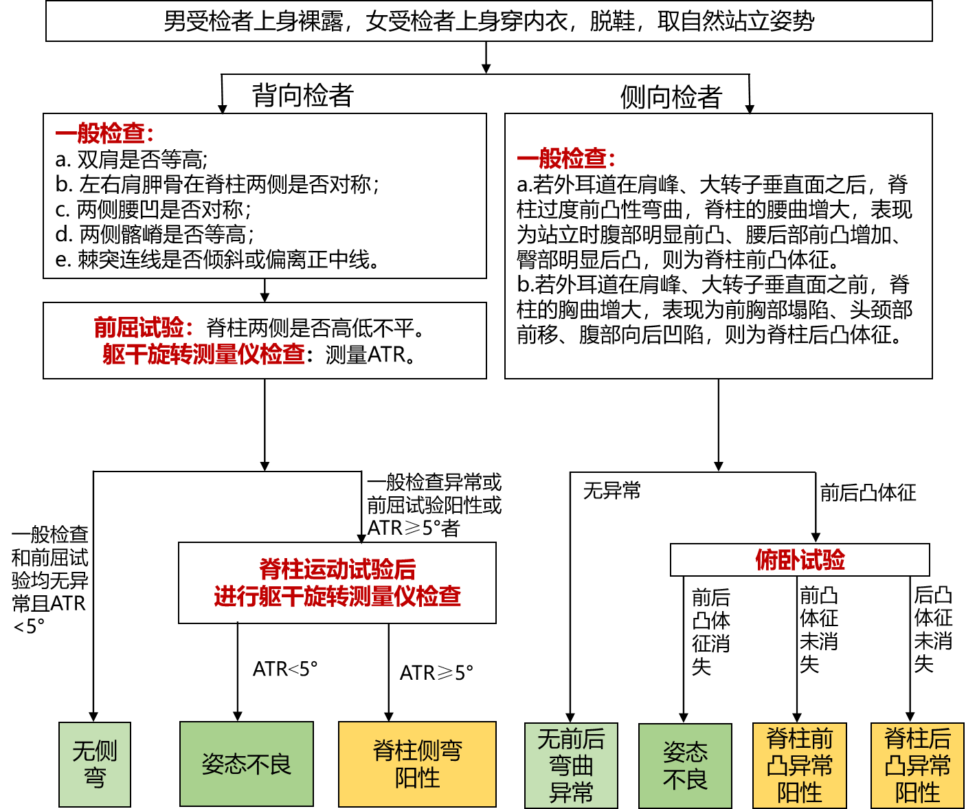 脊柱弯曲异常筛查流程图